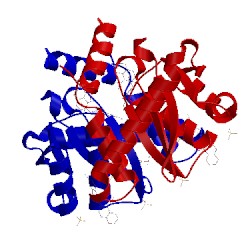 Image of CATH 3nfa