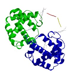 Image of CATH 3nfe