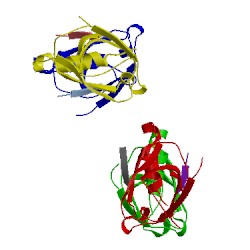 Image of CATH 3nfl