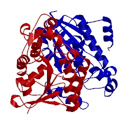 Image of CATH 3nfy