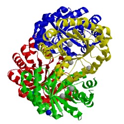 Image of CATH 3ngj