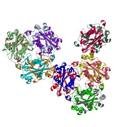 Image of CATH 3ngt