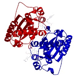 Image of CATH 3nh0