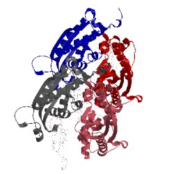 Image of CATH 3nh2