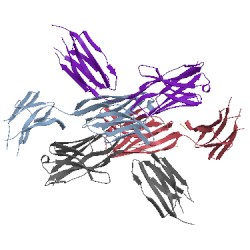 Image of CATH 3nh7