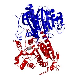 Image of CATH 3niq