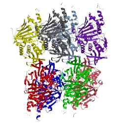 Image of CATH 3nix