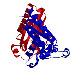 Image of CATH 3nj2