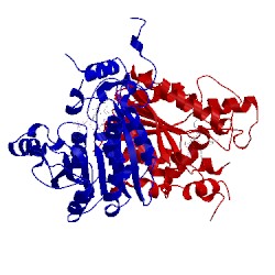 Image of CATH 3nj8