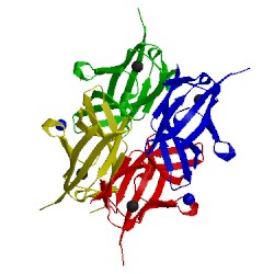 Image of CATH 3njh