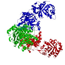 Image of CATH 3nl5