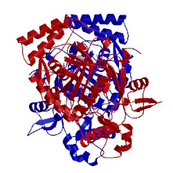 Image of CATH 3nln