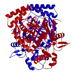 Image of CATH 3nlp