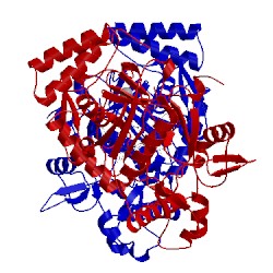 Image of CATH 3nlr