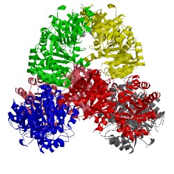 Image of CATH 3nm1