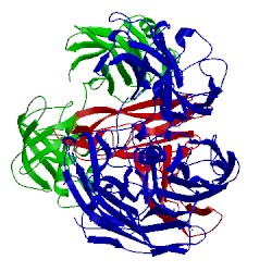 Image of CATH 3nms