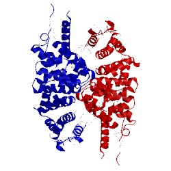 Image of CATH 3nmw