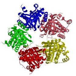 Image of CATH 3nn4