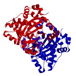 Image of CATH 3nnm