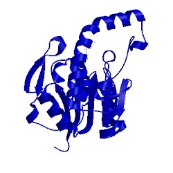 Image of CATH 3nor