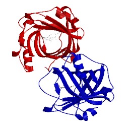 Image of CATH 3np1