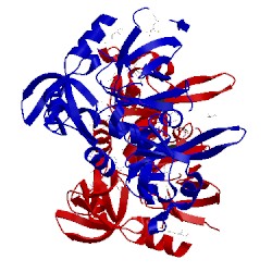 Image of CATH 3npf