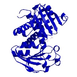 Image of CATH 3npm