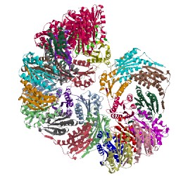 Image of CATH 3nq4