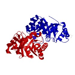 Image of CATH 3nq6