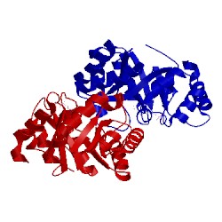 Image of CATH 3nqc