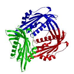 Image of CATH 3ns2