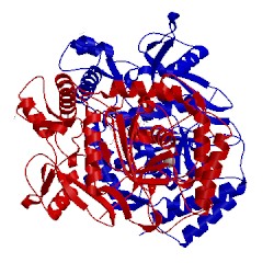 Image of CATH 3nse