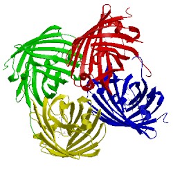 Image of CATH 3nt9