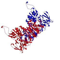 Image of CATH 3nta