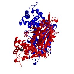 Image of CATH 3ntl
