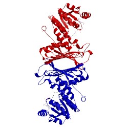 Image of CATH 3ntq