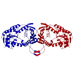 Image of CATH 3ntr