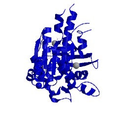 Image of CATH 3ntu