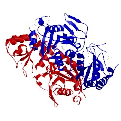 Image of CATH 3ntx