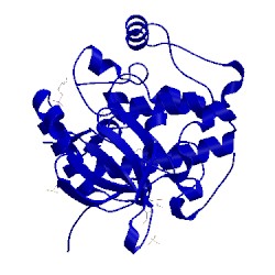 Image of CATH 3nus