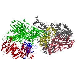 Image of CATH 3nvv