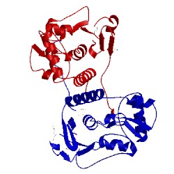 Image of CATH 3nwc
