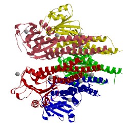 Image of CATH 3nwi