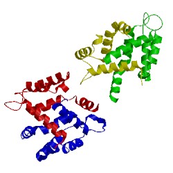 Image of CATH 3nxa