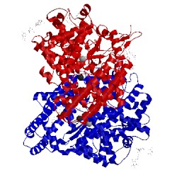 Image of CATH 3nxq