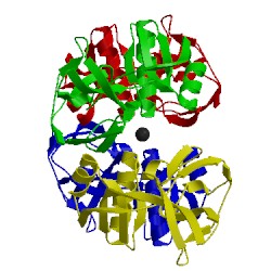 Image of CATH 3nxz