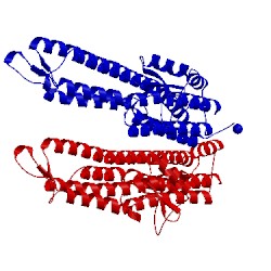 Image of CATH 3nzz