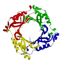 Image of CATH 3o1k