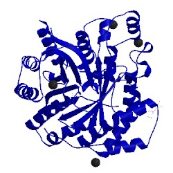 Image of CATH 3o24