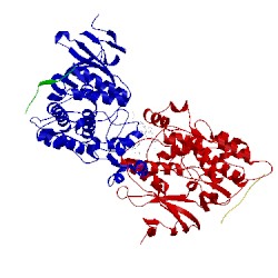 Image of CATH 3o2m